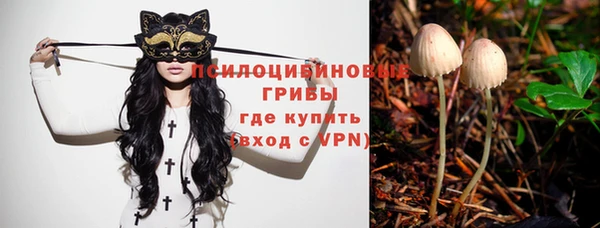 амф Балахна