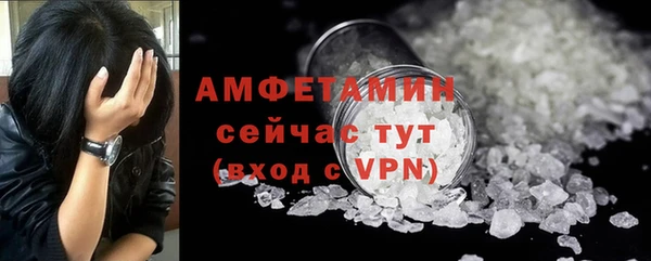дмт Пересвет