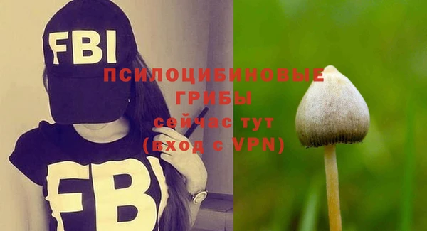 амф Балахна