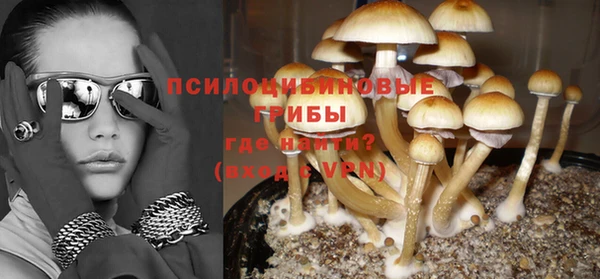 бутират Баксан
