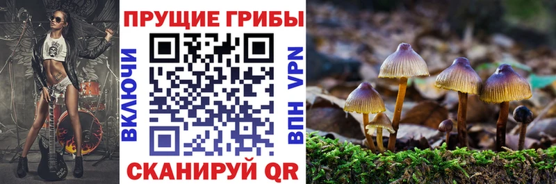 Псилоцибиновые грибы мухоморы  Кодинск 